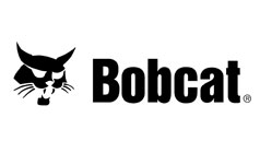 Bobcat